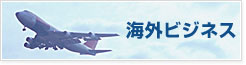 海外ビジネス