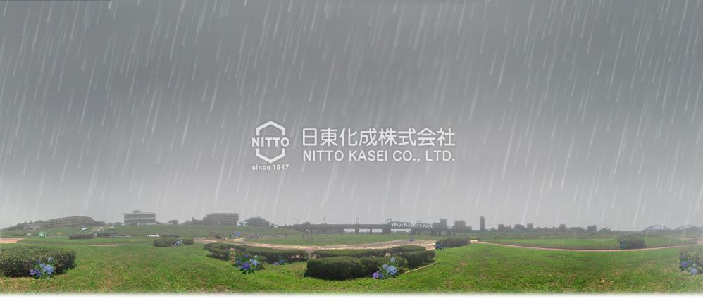 FLASHイメージ