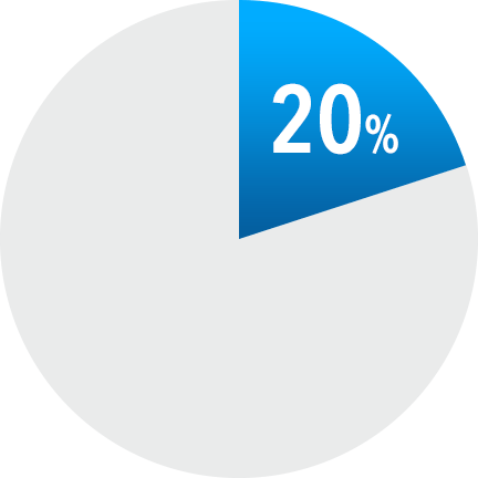 20%
